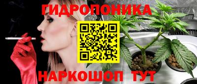 скорость Ливны