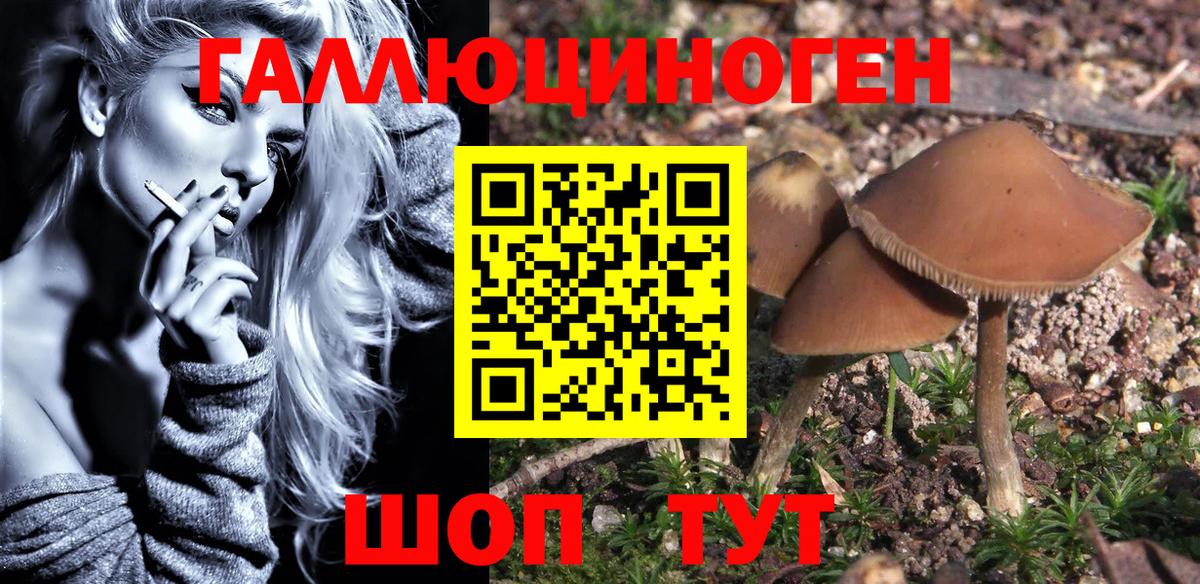 Галлюциногенные грибы Psilocybe  Вход с VPN  Благовещенск 